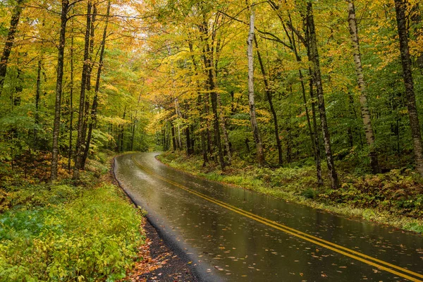 Verlaten Bergweg Door Een Bos Top Van Herfst Gebladerte Een — Stockfoto