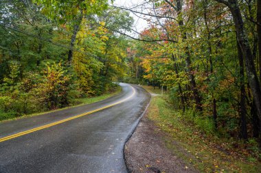Yağmurlu bir sonbahar gününde Vermont kırsalında yaprak döken bir ormanın içinden geçen yol.