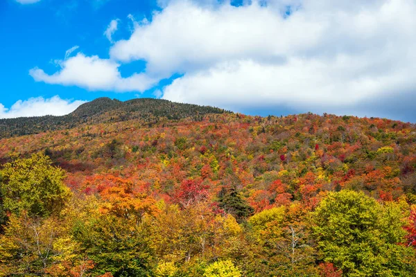 Majestosa Montanha Coberta Por Árvores Caducas Pico Folhagem Outono Dia — Fotografia de Stock