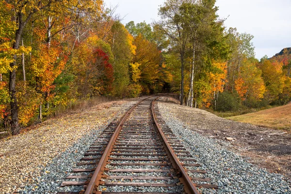 Deserted Railway Track Lined Deciduous Trees Peak Fall Foliage Sunset — Stock Photo, Image