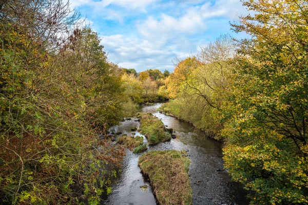 Beautiful river through a forested landscape in the countryside of Scotland on an autumn day. Autumn colours and blue sky with clouds. Livingston, Scotland, UK.