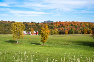 Ormanlık bir tepenin eteğinde kırmızı bir ahırı olan sakin bir kırsal alan. Güzel sonbahar renkleri. Peacham, VT, ABD.