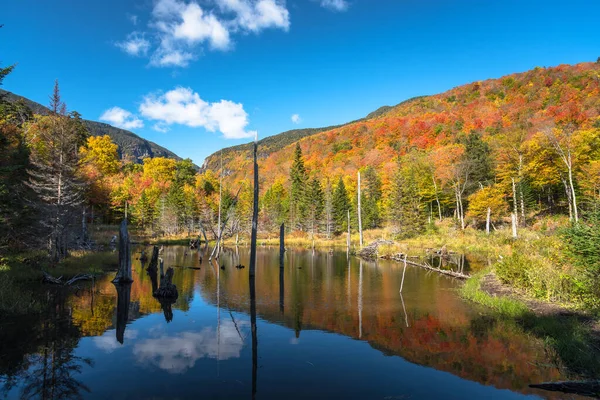 Vista Uma Lagoa Uma Majestosa Paisagem Montanha Florestada Dia Claro — Fotografia de Stock