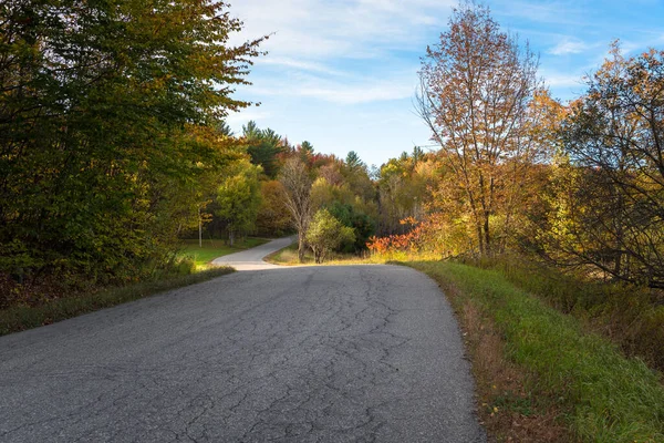 Leere Kurvenreiche Landstraße Durch Einen Bunten Herbstlichen Wald Bei Sonnenuntergang — Stockfoto