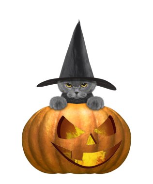 Şirin kedi kostümlü halloweens kabak ile 