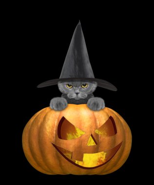 Şirin kedi kostümlü halloweens kabak ile 