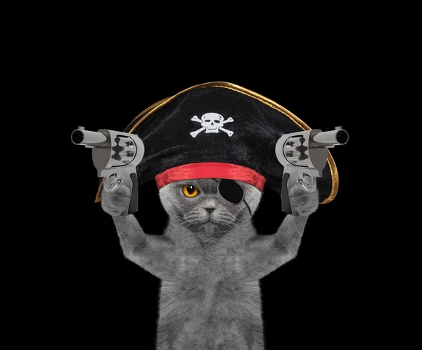 猫在持枪海盗服装 — 图库照片