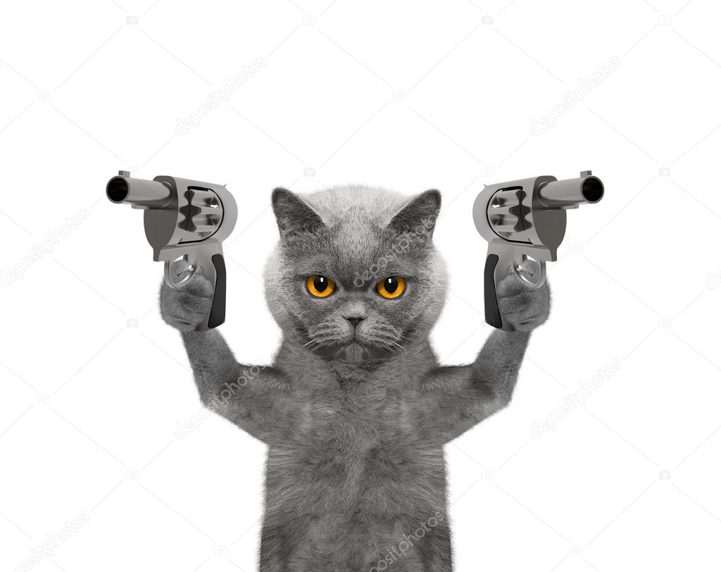 Cat With Guns Is Murderer Stock Photo Image By C Helga1981