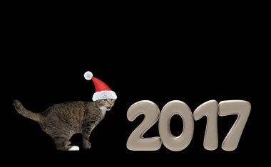 2017 yeni yıl numaraları yakınındaki Santa kedi 