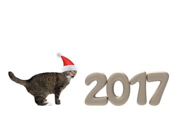2017 yeni yıl numaraları yakınındaki Santa kedi 