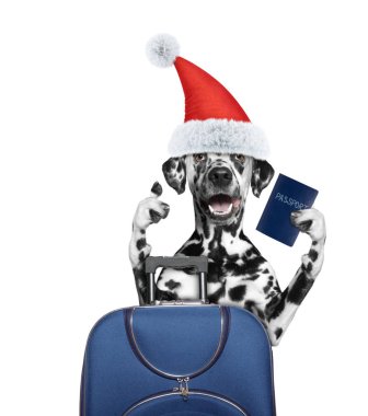 Noel Baba köpek ile bir bavul seyahat için bir geziye gidiyor 