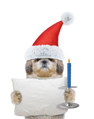 Yastık ve mum tutan ve uyuyacak sevimli Noel Baba köpek