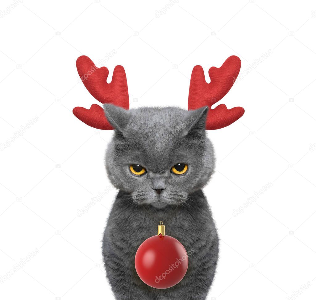 Cute cat in reindeer antlers with xmas ball 