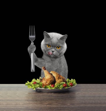 Kedi kaz yiyeceksin 