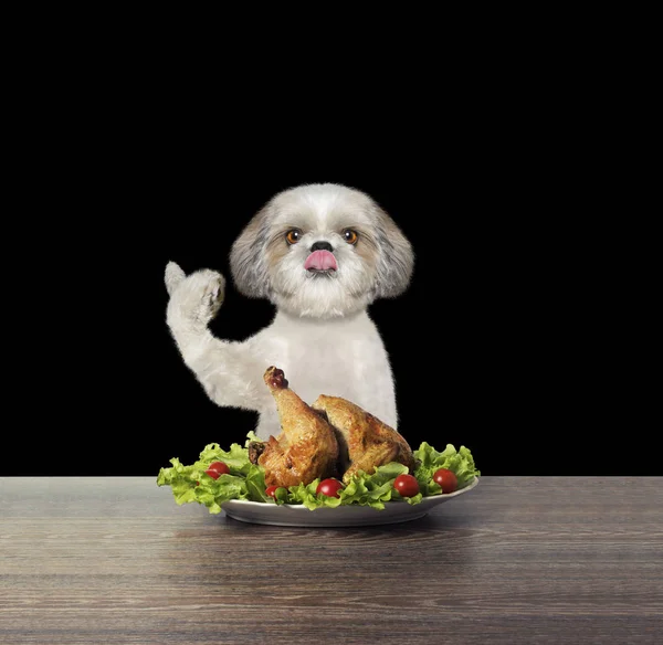 Милий маленький собака збирається з'їсти курку — стокове фото