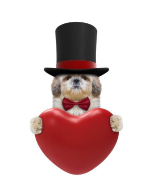 Güzel Sevgililer köpek kalp ile 