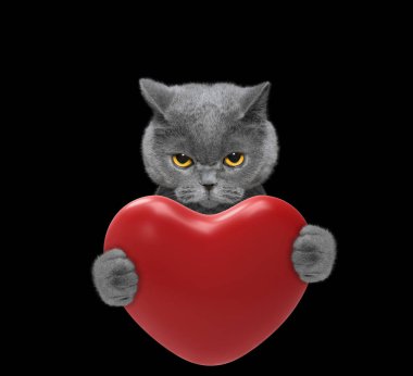 Şirin kedi bir kalp tutan 