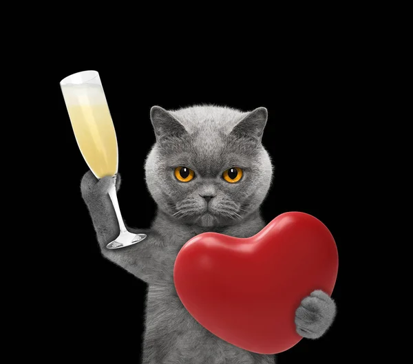 Χαριτωμένο γάτα κρατώντας μια καρδιά και ποτήρι σαμπάνιας — Φωτογραφία Αρχείου