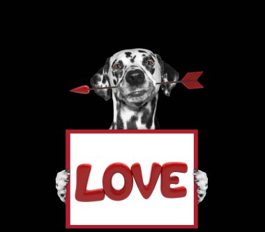 holding Dart ve çerçeve sevgi ile köpek