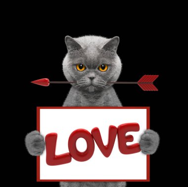 Şirin kedi holding Dart ve sevgi ile çerçeve