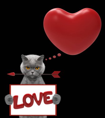 Mockup Sevgililer kalp ile kedi