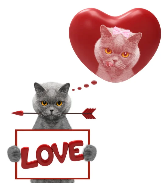 Mockup corazón de San Valentín con gato —  Fotos de Stock