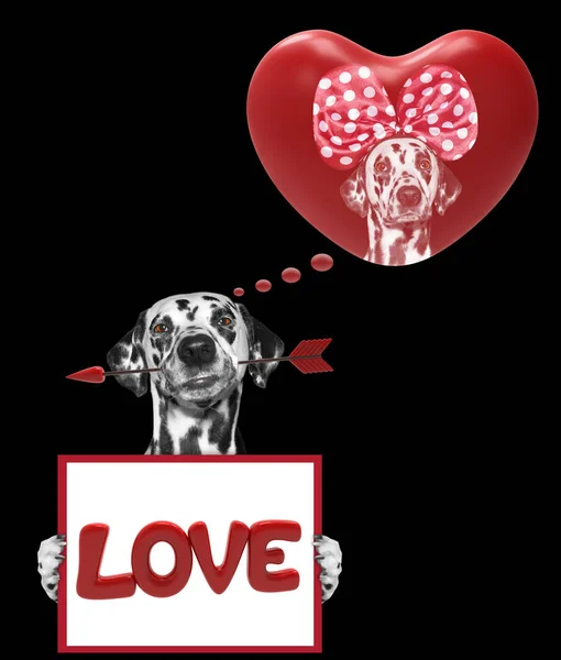 Καρδιά Αγίου Βαλεντίνου mockup με σκύλο — Φωτογραφία Αρχείου