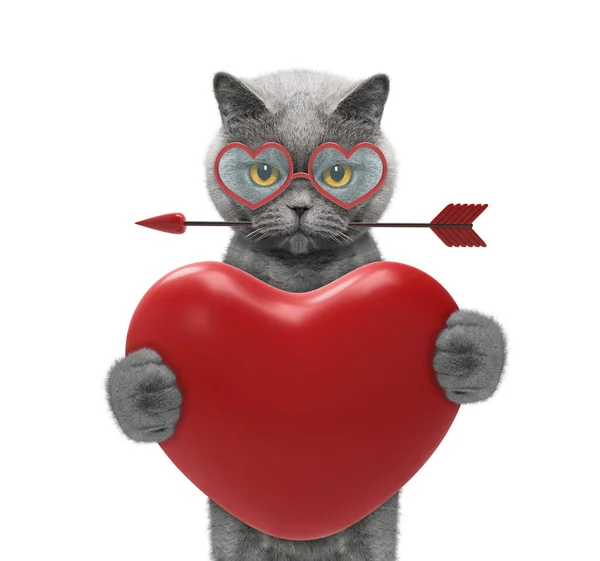 Красива кішка в окулярах тримає серце — стокове фото