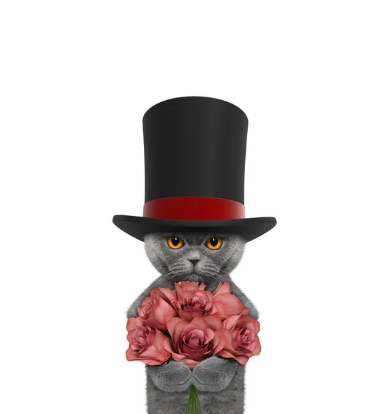 高顶帽子汽缸与玫瑰的猫 — 图库照片