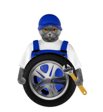 Tekerlek tamiri. Şirin kedi üzerinde beyaz izole