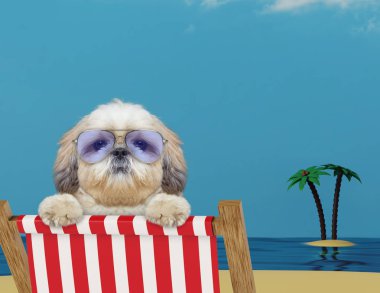 Sevimli köpek kırmızı bir şezlong üzerinde rahatlatıcı