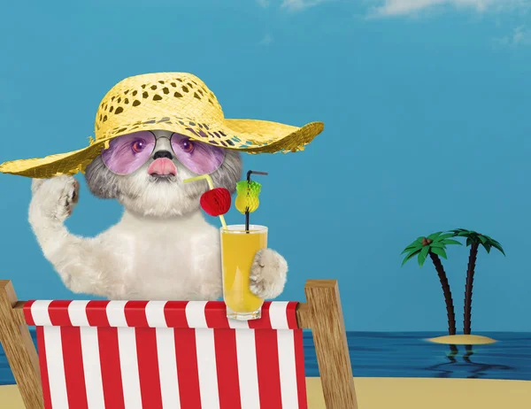 Cute dog relaxing with juice on the beach — Stock Photo, Image
