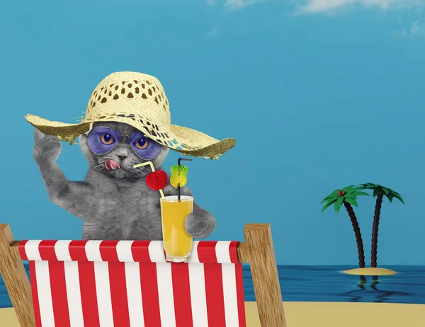 Söt katt avkopplande med juice på stranden — Stockfoto