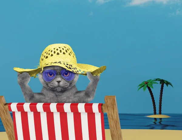 Cute cat relaxing on a red deck chair on the beach — Stock Photo, Image