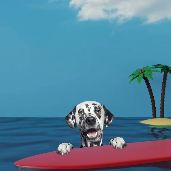 Dalmatian dog surfing on a surfboard at the ocean near the beach — Stock Photo, Image