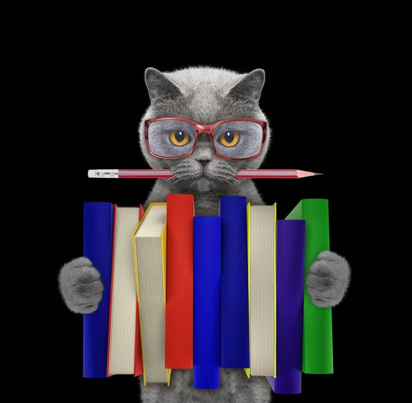 Roztomilý kočka drží velký Stoh knih – izolované na černém pozadí — Stock fotografie