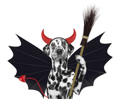 şirin halloween köpek yarasa şeytan kostümlü süpürge - beyaz izole ile