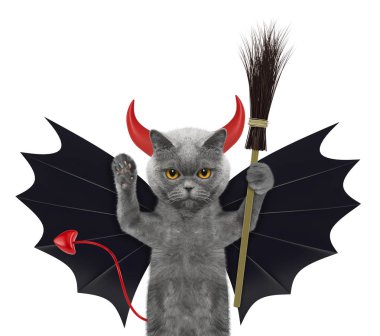 şirin halloween kedi yarasa şeytan kostümlü süpürge - beyaz izole ile