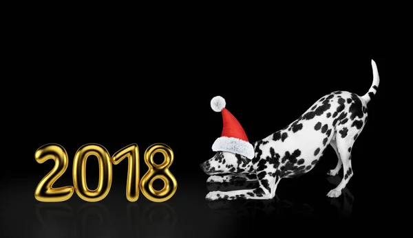 Noel şapka 2018 yakınındaki sevimli Dalmaçyalı köpek. Siyah izole — Stok fotoğraf