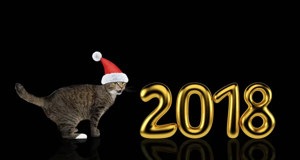 Şirin kedi 2018 yakınındaki Noel şapkalı. Siyah izole — Stok fotoğraf