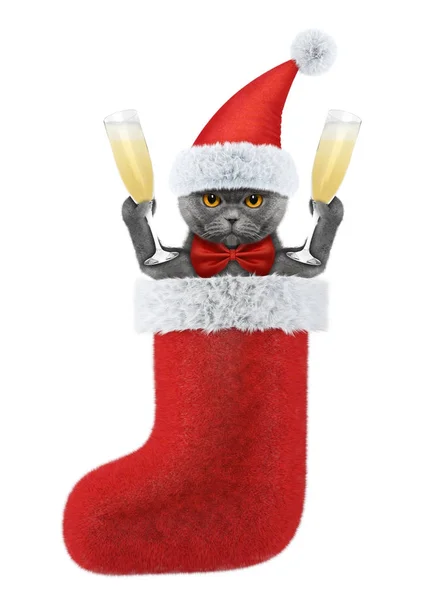 Χαριτωμένο γάτα σε Χριστουγεννιάτικες διακοπές με ένα ποτήρι σαμπάνια — Φωτογραφία Αρχείου