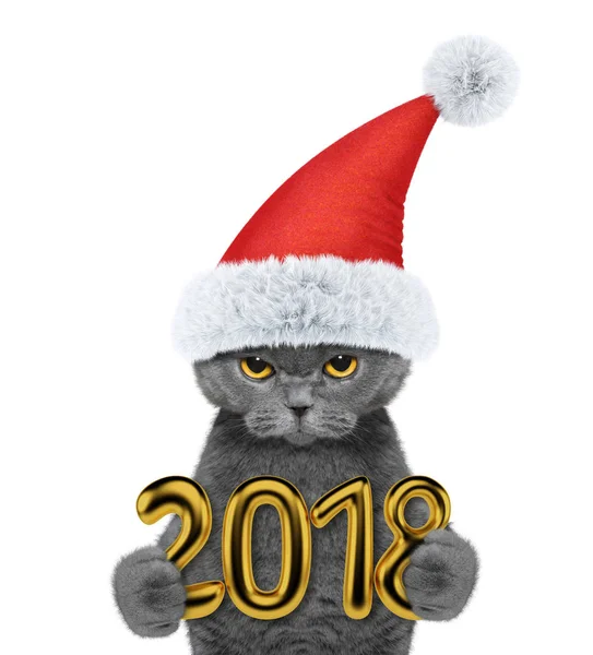 Şirin kedi 2018 tutan Noel şapkalı. Beyaz izole — Stok fotoğraf