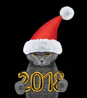 Şirin kedi 2018 tutan Noel şapkalı. Siyah izole