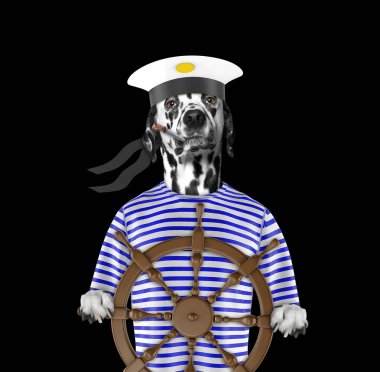 Dalmaçya köpeği bir denizci olarak giyinmiş. Siyah izole