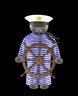 Kedi bir denizci olarak giyinmiş. Siyah izole