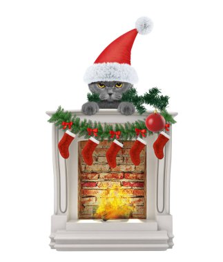 Noel ağacı ve topu şömine yakın kediyle. Beyaz izole