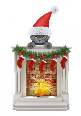 Kızgın santa kedi şömine yakın. Beyaz izole