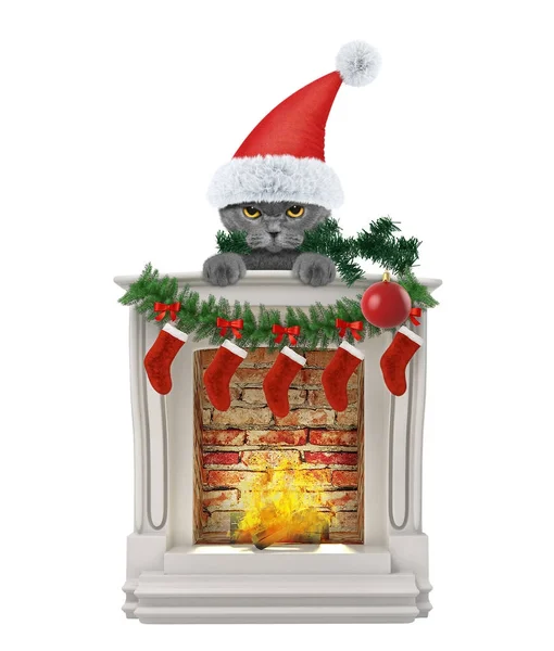 クリスマス ツリーと暖炉の近くでボールを持つ猫。白で隔離 — ストック写真