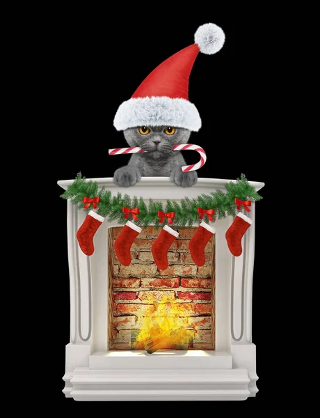 暖炉の近くのクリスマスのお菓子と猫。黒の分離 — ストック写真