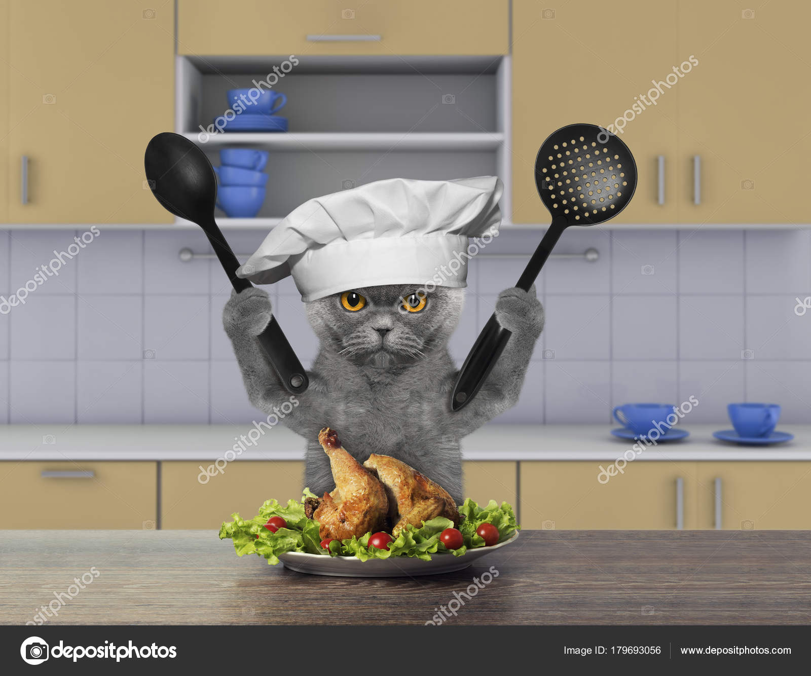 Кошка кулинар